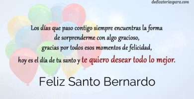 Feliz Santo Bernardo