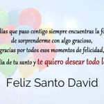 Feliz Santo David