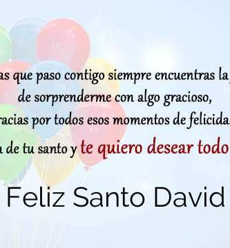 Feliz Santo David