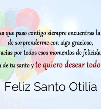 Feliz Santo Otilia